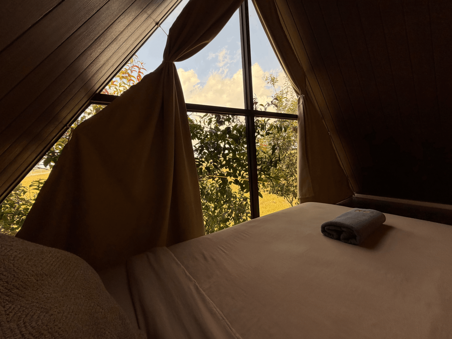 Copy of IMG_5183 (1)