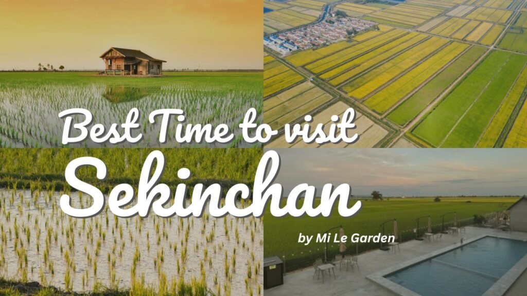 The Best Time to visit sekinchan